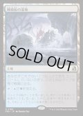 【JPN】難破船の湿地/Shipwreck Marsh[MTG_FRA_0189_R]
