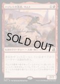 【JPN】ハゾレトの勇者、サムト/Samut, Hazoret's Champion[MTG_FRA_0251_R]