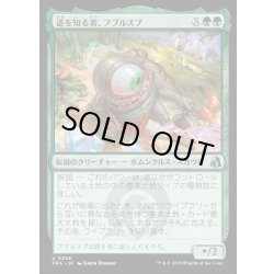 画像1: 【JPN】道を知る者、フブルスプ/Fblthp, Knows the Way[MTG_FRA_0258_U]