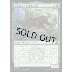 画像1: 【JPN】争い好きの野良犬、義丸/Yoshimaru, Scrappy Stray[MTG_FRA_0269_U]