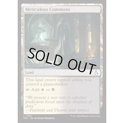 画像1: 【ENG】詳細の広場/Meticulous Commons[MTG_FRA_0184_L]