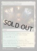【ENG】草茂る農地/Overgrown Farmland[MTG_FRA_0185_R]