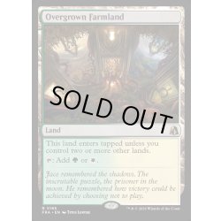 画像1: 【ENG】草茂る農地/Overgrown Farmland[MTG_FRA_0185_R]