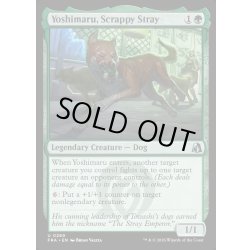 画像1: 【ENG】争い好きの野良犬、義丸/Yoshimaru, Scrappy Stray[MTG_FRA_0269_U]