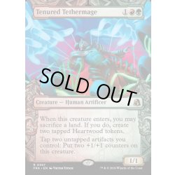 画像1: 【ENG】★Sculptor's Stronghold Card★任期無期限の繋操魔道士/Tenured Tethermage[MTG_FRA_0357_R]