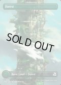 【ENG】★Tower Basic Land★森/Forest[MTG_FRA_0395_L]