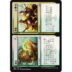 画像1: 【JPN】開花/華麗/Flower/Flourish[MTG_GRN_226U]