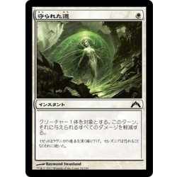 画像1: 【JPN】守られた道/Shielded Passage[MTG_GTC_024C]