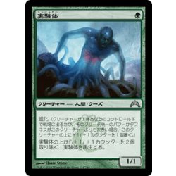 画像1: 【JPN】実験体/Experiment One[MTG_GTC_119U]