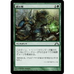 画像1: 【JPN】遮り蔦/Hindervines[MTG_GTC_124U]