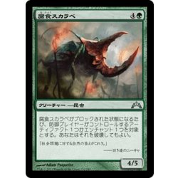 画像1: 【JPN】腐食スカラベ/Rust Scarab[MTG_GTC_130U]