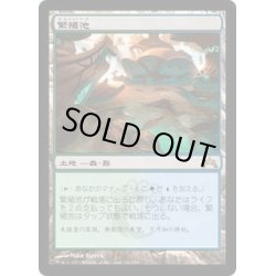 画像1: 【ENG】繁殖池/Breeding Pool[MTG_GTC_240R]