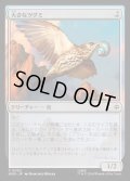 【JPN】大きなツグミ/Old Thrush[MTG_HOB_0002_C]