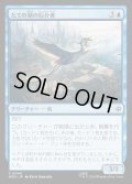【JPN】たての湖の厄介者/Long Lake Nuisance[MTG_HOB_0045_C]