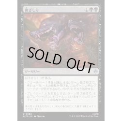 画像1: 【JPN】歯ぎしり/Gnashing of Teeth[MTG_HOB_0069_U]