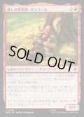 【JPN】優しき夢想家、ボンブール/Bombur, Gentle Dreamer[MTG_HOB_0088_U]