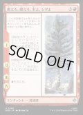 【JPN】燃えろ、燃えろ、木よ、シダよ/Burn, Burn, Tree and Fern[MTG_HOB_0090_U]