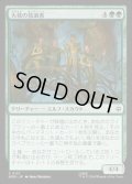 【JPN】大枝の放浪者/Boughside Wanderers[MTG_HOB_0121_C]