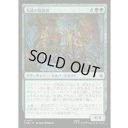 画像1: 【JPN】大枝の放浪者/Boughside Wanderers[MTG_HOB_0121_C]