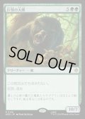 【JPN】巨怪の大熊/Gigantic Big Bear[MTG_HOB_0126_R]