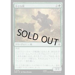 画像1: 【JPN】小さな熊/Little Bear[MTG_HOB_0128_C]