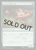 【JPN】やっかいな仔ウサギ/Nasty Little Rabbit[MTG_HOB_0130_U]