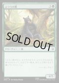 【JPN】ふつうの熊/Ordinary Bear[MTG_HOB_0133_C]