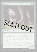 【JPN】魔狼の仔/Wargling[MTG_HOB_0140_C]