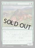 【JPN】荒れ地の国のたかり屋/Wilderland Scrounger[MTG_HOB_0141_U]