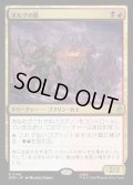 【JPN】ボルグの隊/Bolg's Company[MTG_HOB_0149_R]