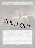 【JPN】踏み込んだ情報/Inside Information[MTG_HOB_0296_M]