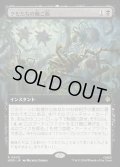 【JPN】クモたちの晩ご飯/Supper for Spiders[MTG_HOB_0300_R]