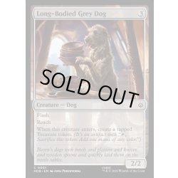 画像1: 【ENG】胴長の灰色犬/Long-Bodied Grey Dog[MTG_HOB_0001_C]