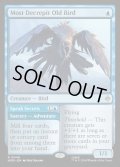 【ENG】この上なくよぼよぼな年より鳥/Most Decrepit Old Bird[MTG_HOB_0049_R]