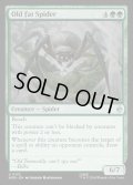 【ENG】でぶの年寄りクモ/Old Fat Spider[MTG_HOB_0132_U]
