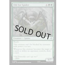 画像1: 【ENG】でぶの年寄りクモ/Old Fat Spider[MTG_HOB_0132_U]