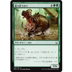 画像1: 【JPN】猛り狂うカバ/Rampaging Hippo[HOU_128C]