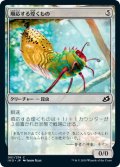 【JPN】★Foil★順応する煌くもの/Adaptive Shimmerer[MTG_IKO_001C]
