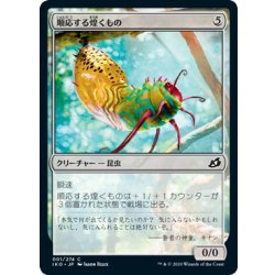 画像1: 【JPN】順応する煌くもの/Adaptive Shimmerer[MTG_IKO_001C]