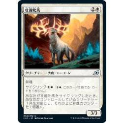 画像1: 【JPN】壮麗牝馬/Splendor Mare[MTG_IKO_032U]