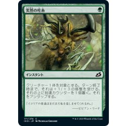 画像1: 【JPN】突然の吐糸/Sudden Spinnerets[MTG_IKO_171C]