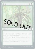 【JPN】萎れ/Wilt[MTG_IKO_176C]