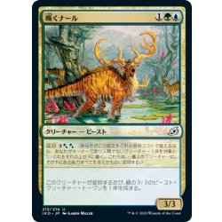 画像1: 【JPN】嘶くナール/Trumpeting Gnarr[MTG_IKO_213U]