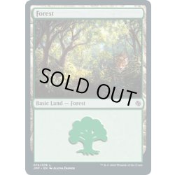 画像1: 【ENG】森/Forest[MTG_JMP_074L]