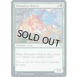画像1: 【ENG】暗影のボブキャット/Penumbra Bobcat[MTG_JMP_418C]
