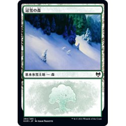 画像1: 【JPN】冠雪の森/Snow-Covered Forest[MTG_KHM_284Ｌ]