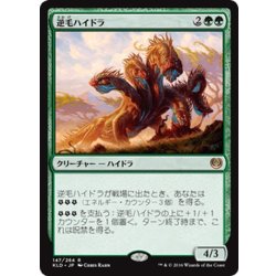 画像1: 【JPN】逆毛ハイドラ/Bristling Hydra[MTG_KLD_147R]