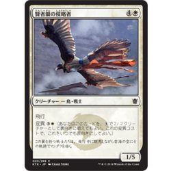 画像1: 【JPN】賢者眼の侵略者/Sage-Eye Harrier[MTG_KTK_020C]