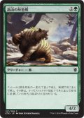 【JPN】高山の灰色熊/Alpine Grizzly[MTG_KTK_127C]