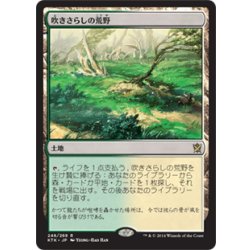 画像1: 【JPN】吹きさらしの荒野/Windswept Heath[MTG_KTK_248R]